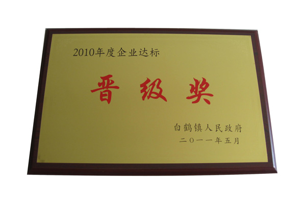 2010年企業(yè)達標(biāo)晉級獎