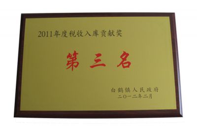 2011年稅收入庫貢獻(xiàn)獎第三名
